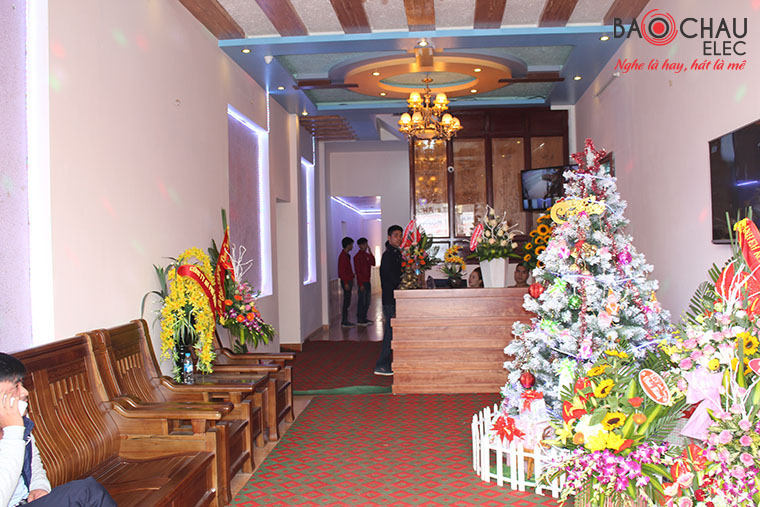 IMG_1178 copy